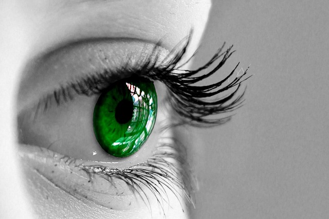 Pourquoi la vision nocturne est-elle verte ? vision nocturne verte